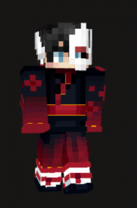 The Shogun's Attire