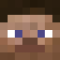 SteveFace.png