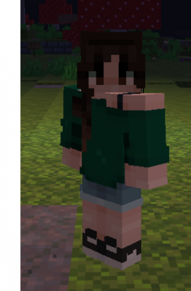 File:Alli's MC Skin.png